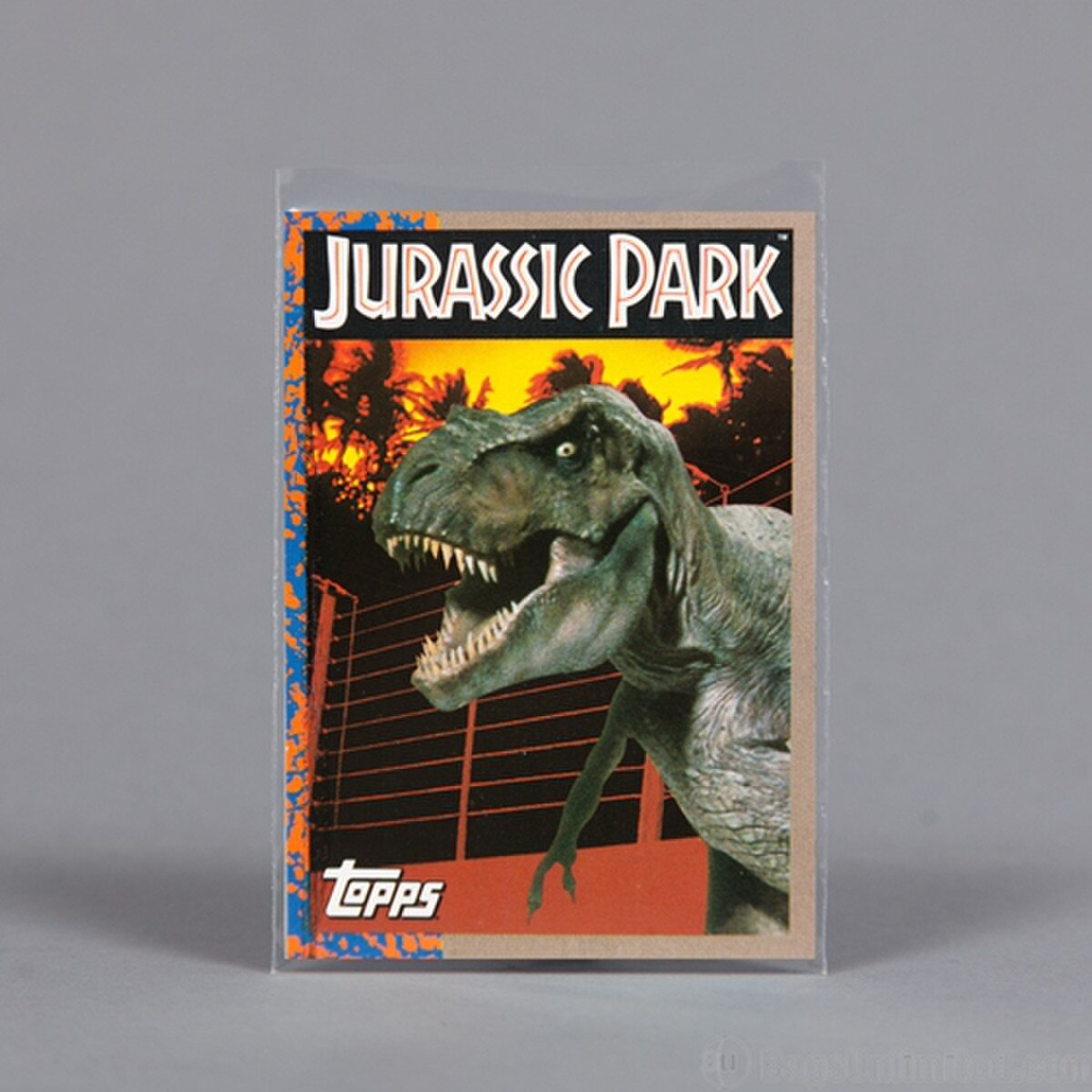 Trading Card Sleeve for New Cards